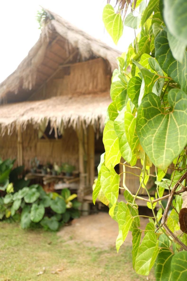 فندق Royal Mountain Hut Ratchaburi المظهر الخارجي الصورة