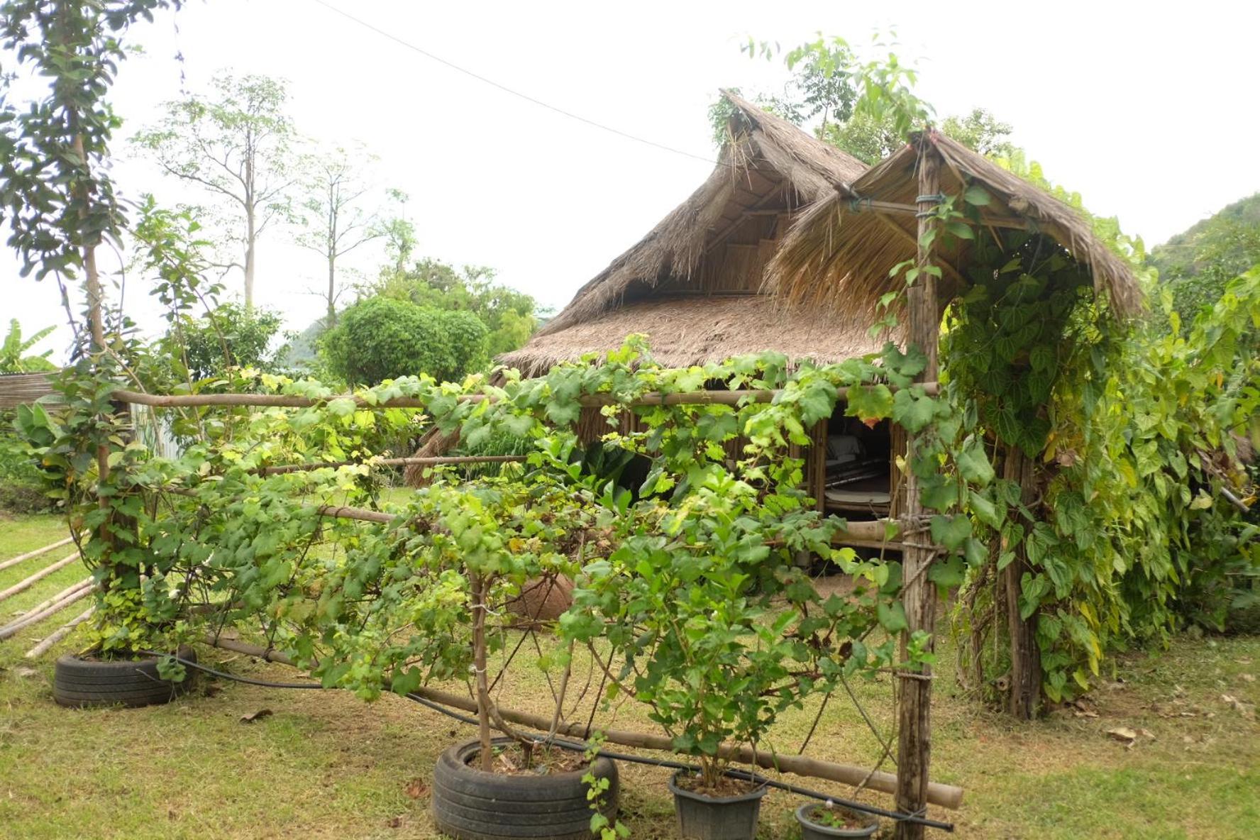 فندق Royal Mountain Hut Ratchaburi الغرفة الصورة